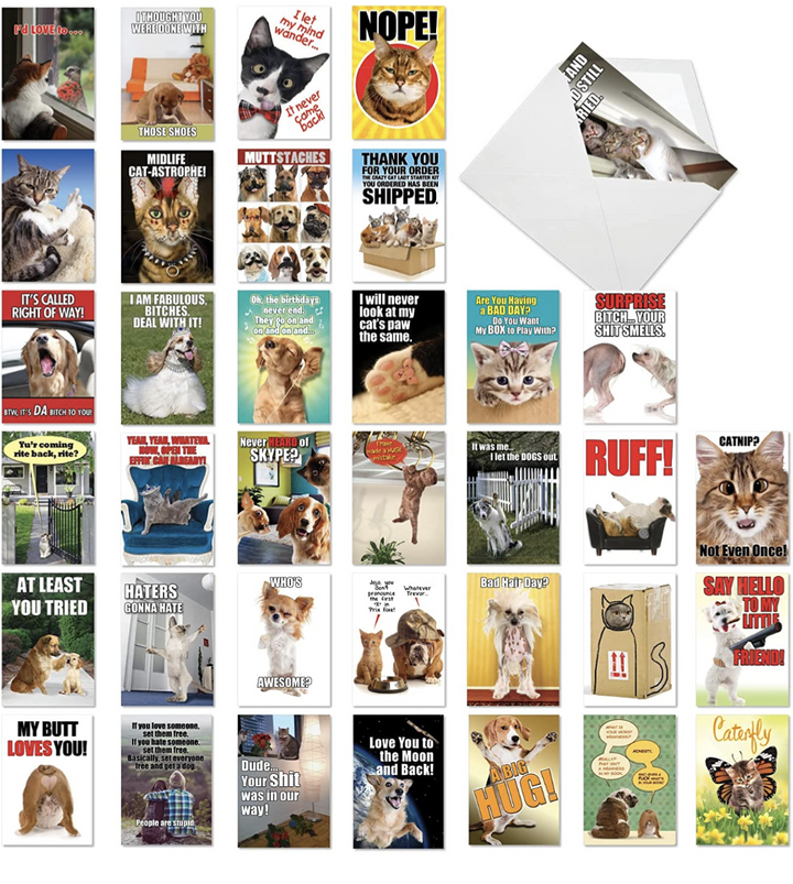 Nobleworks Pet-Themed Funny Everyday Blank Note Card - Paw Naturals