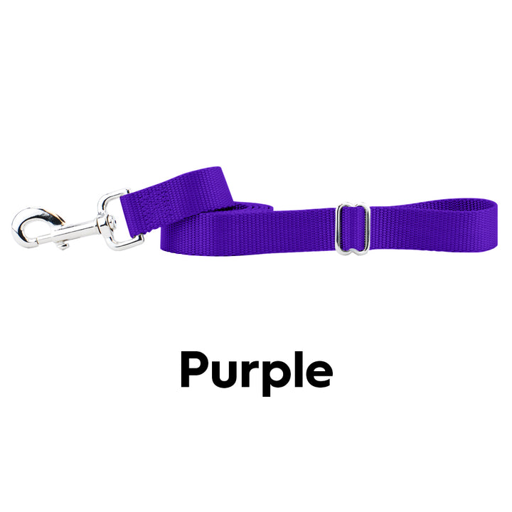 2 Hounds Design 1" Wide Adjustable Handle Nylon Leashes - Paw Naturals