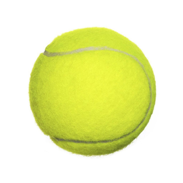Petcrest Tennis Ball Dog Toy Small 2" - Paw Naturals