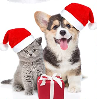 Sparky & Co Plush Santa Hat for Dogs & Cats - Paw Naturals