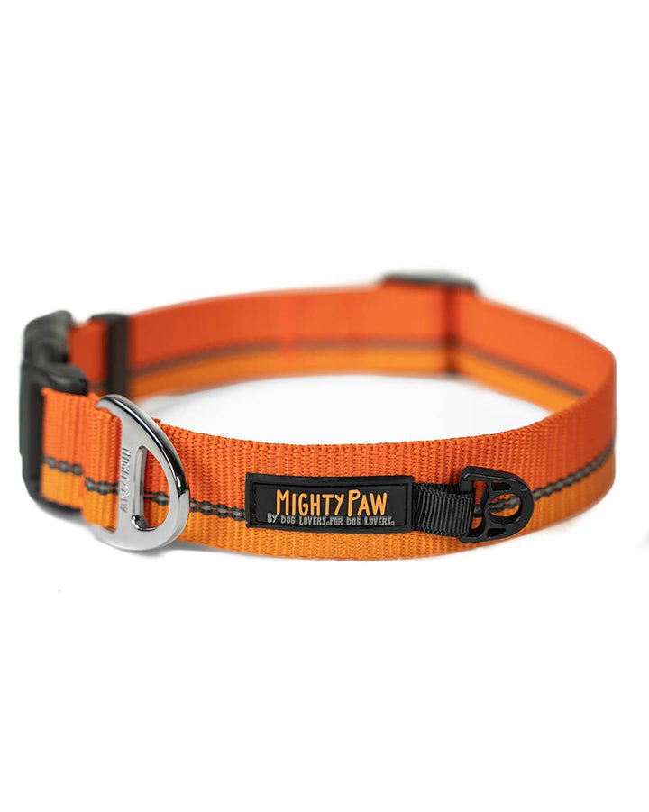 Mighty Paw Standard Reflective Colorblast Dog Collar Medium / Orange - Paw Naturals