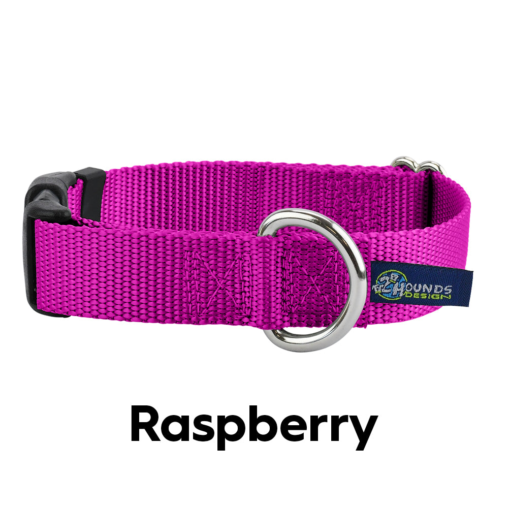 2 Hounds Design 5/8” Wide Solid Colored Side Release Collars Medium (13-18") / Raspberry - Paw Naturals