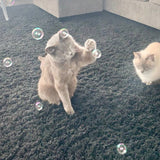 PetWineShop Purrsecco Catnip Bubbles - Paw Naturals