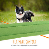 Mighty Paw Sport Collar 2.0 - Paw Naturals