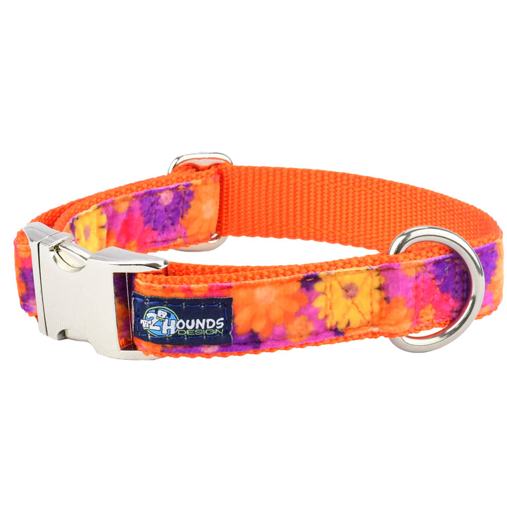 2 Hounds Design Gerbera Daisy Velvet Essential Dog Collar & Leash Small (10-14") Collar - Paw Naturals