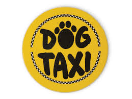 Dog Speak Dog Taxi Car Coaster - Paw Naturals