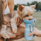 Springer Mini Travel Bottle - Paw Naturals