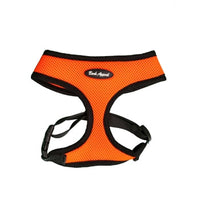 Neon Orange