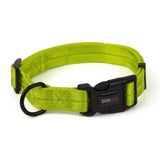 Dogline Nylon Flat Collar