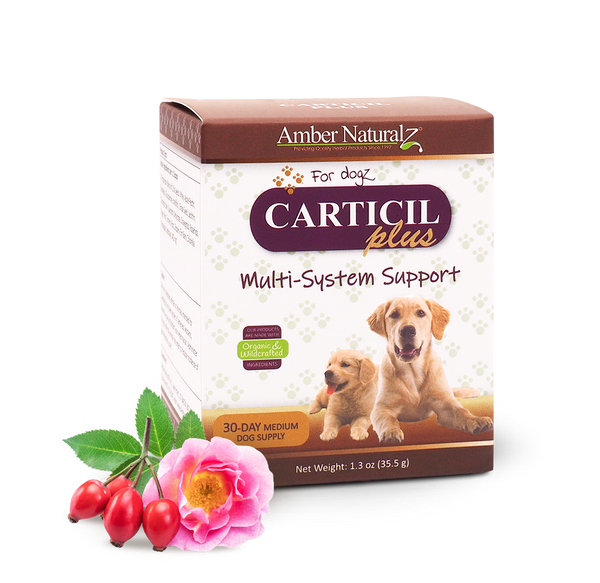Amber NaturalZ Carticil Plus Pet Supplement