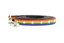 Six Point Pet Chicago Stars Collar & Leash in Rainbow Pride Leash LG - Paw Naturals