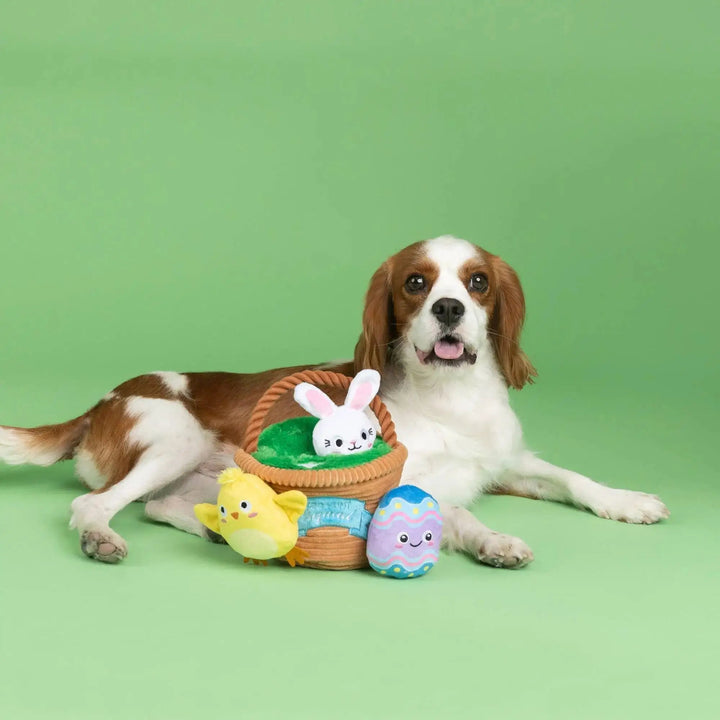 PetShop by Fringe Studio Egg Hunt Squad Hide n Seek Dog Toy