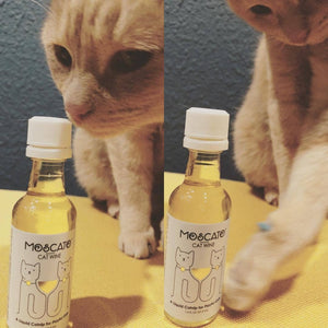 PetWineShop MosCATo Cat Wine Liquid Catnip For Cats - Paw Naturals