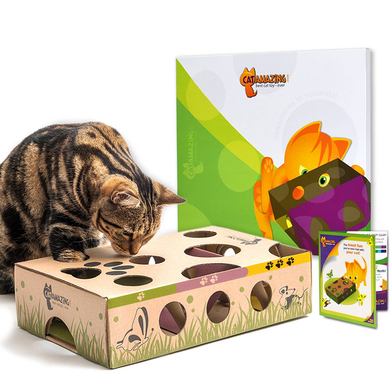 Cat Amazing Classic Interactive Cat Toy and Puzzle Feeder