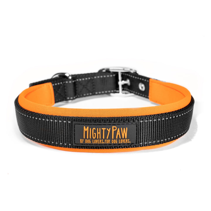 Mighty Paw Sport Collar 2.0 Orange / Small - Paw Naturals