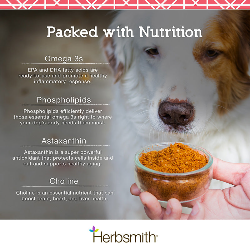 Herbsmith Pure Krill Supplement for Dogs & Cats - Paw Naturals