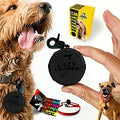 Lazy Leash Mini Wearable Power Leash Black - Paw Naturals