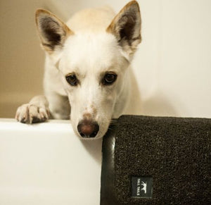 Tall Tails Wet Paw Bath Grooming Mat in Charcoal - Paw Naturals