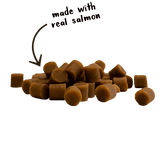 Cloud Star Tricky Trainers Soft & Chewy Salmon Dog Treats
